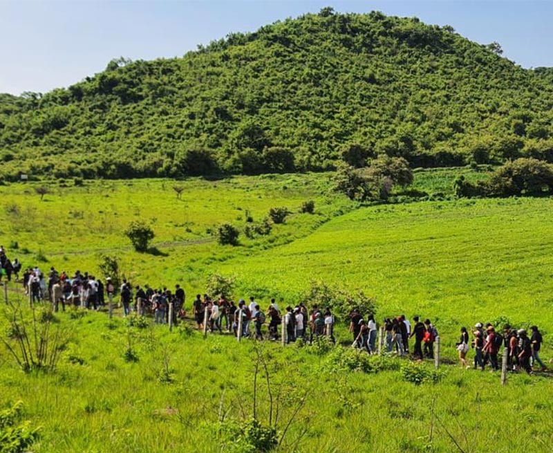 Estudiantes de la PrepaTec Cuernavaca realizaron una reforestación en la sierra Los Ejidos de Tepoztlán, Morelos como parte del proyecto de sostenibilidad del modelo Project Based Learning (PBL). 