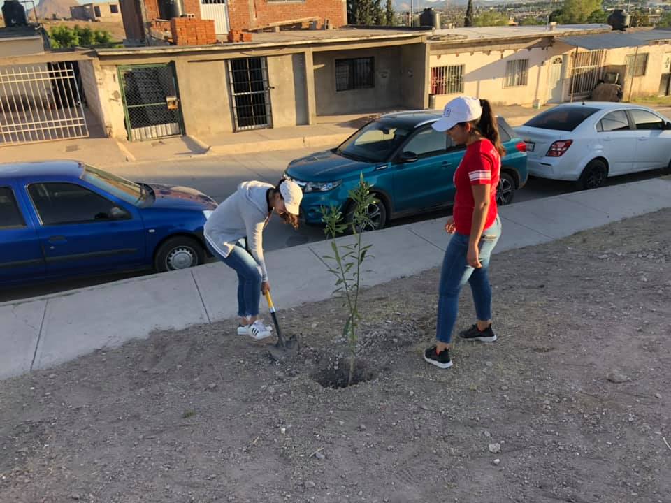 Alumnos plantando árboles