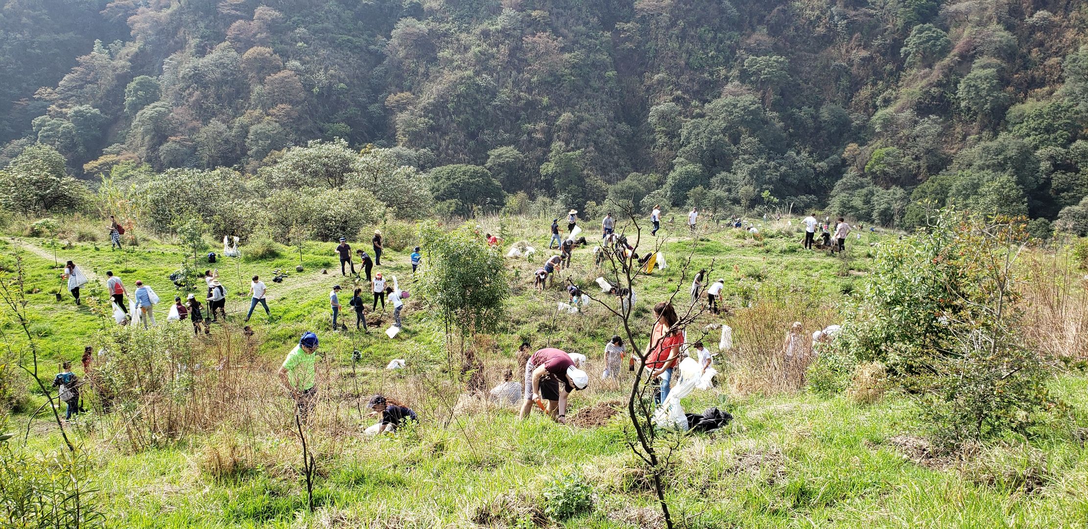 Rescate Barranca Santa Fe