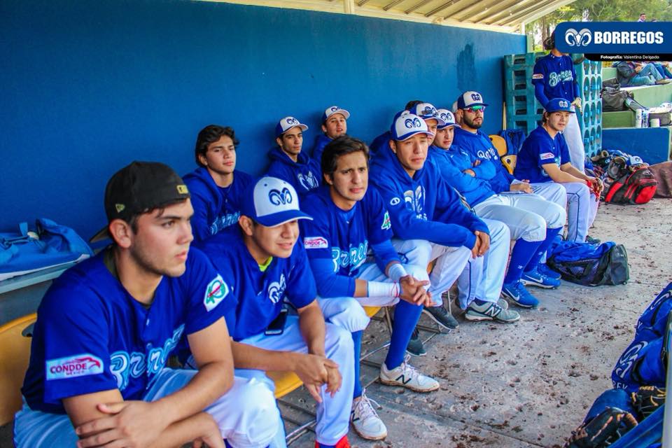 Borregos Monterrey beisbol