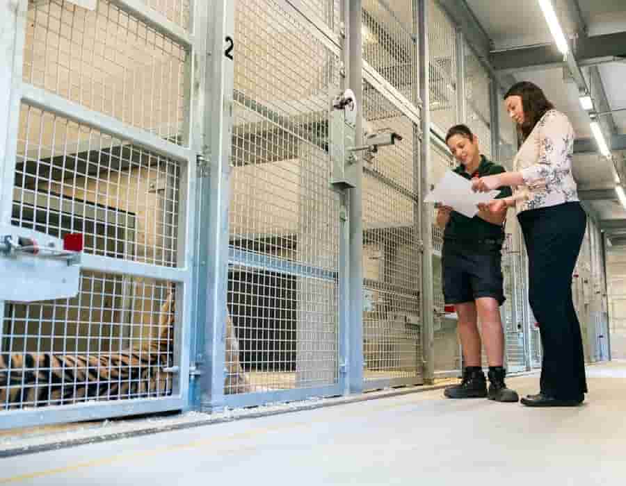 La ingeniería va ligada a las ciencias sociales y las humanidades