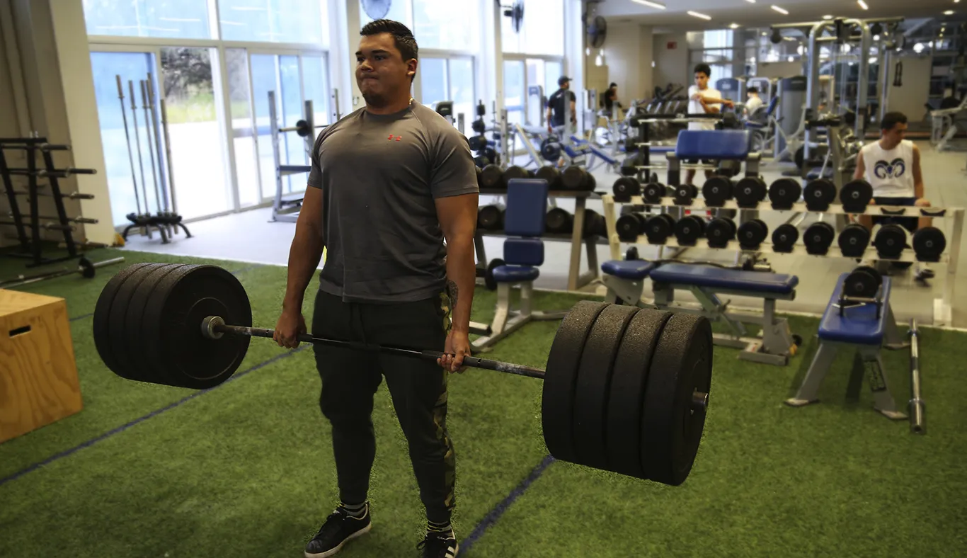 ENTRENAMIENTO Y PREPARACIÓN
