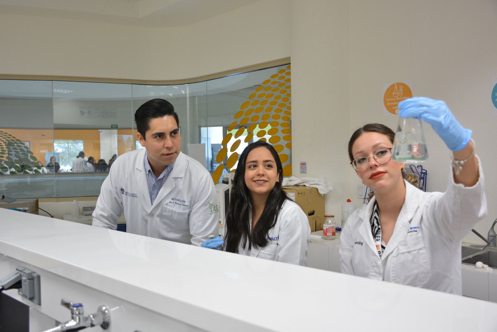 El equipo trabajando en el laboratorio