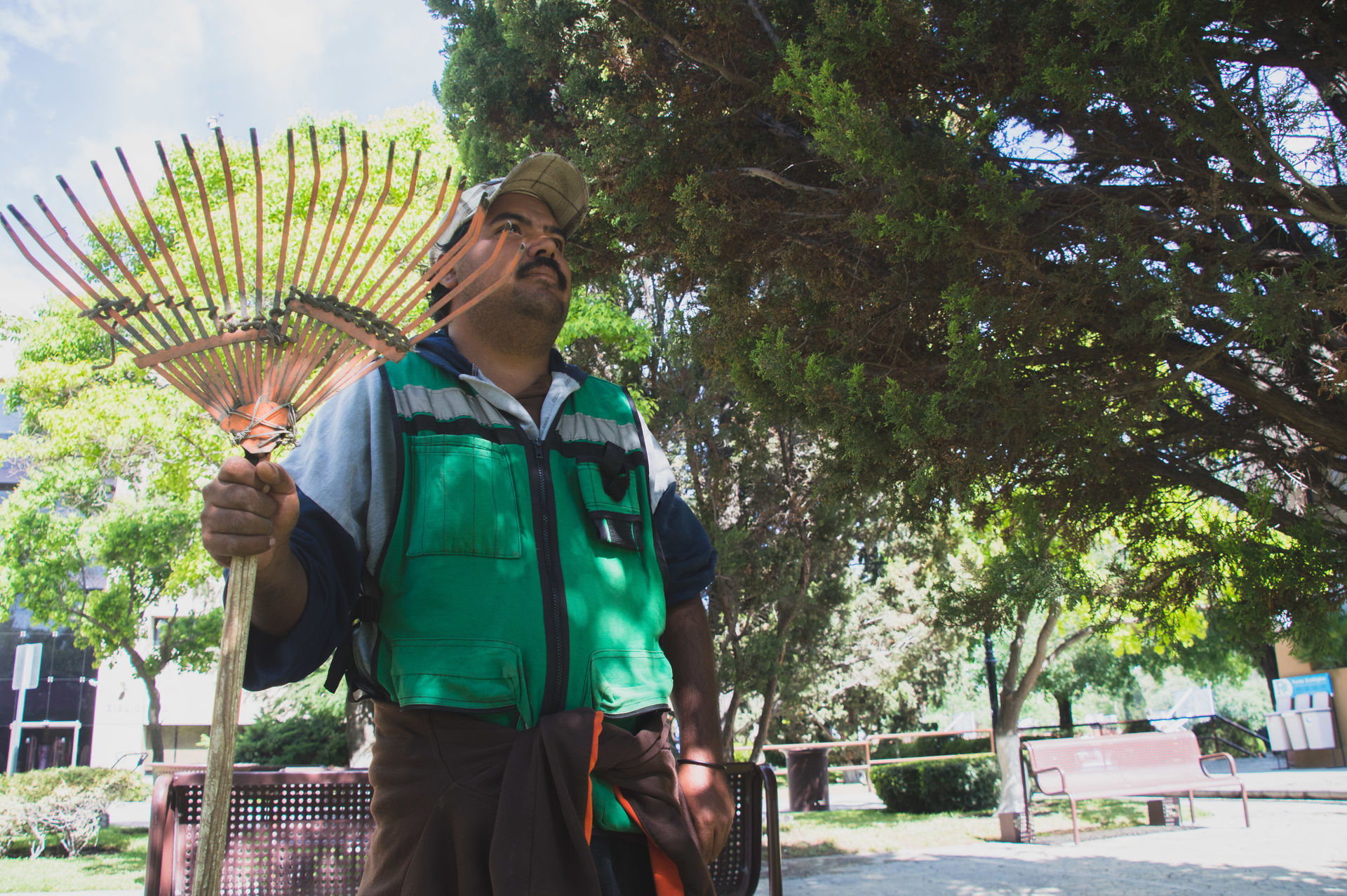 Jardinero mirando hacia arriba con un rastrillo en mano