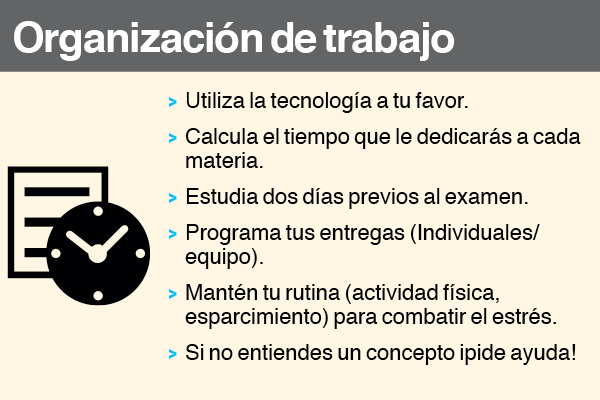 Consejo sobre organización