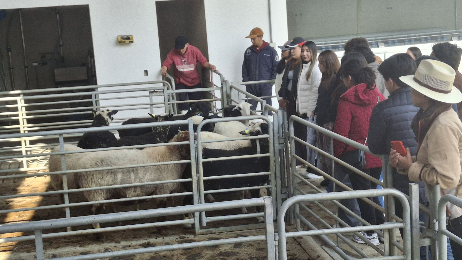 Experiencia de Negocios Tec