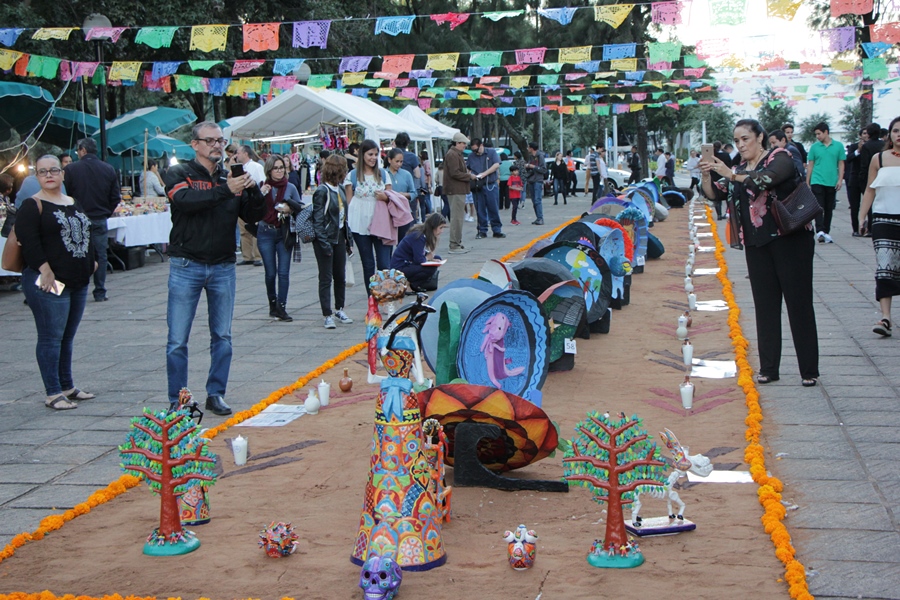 Fiesta de Humanidades