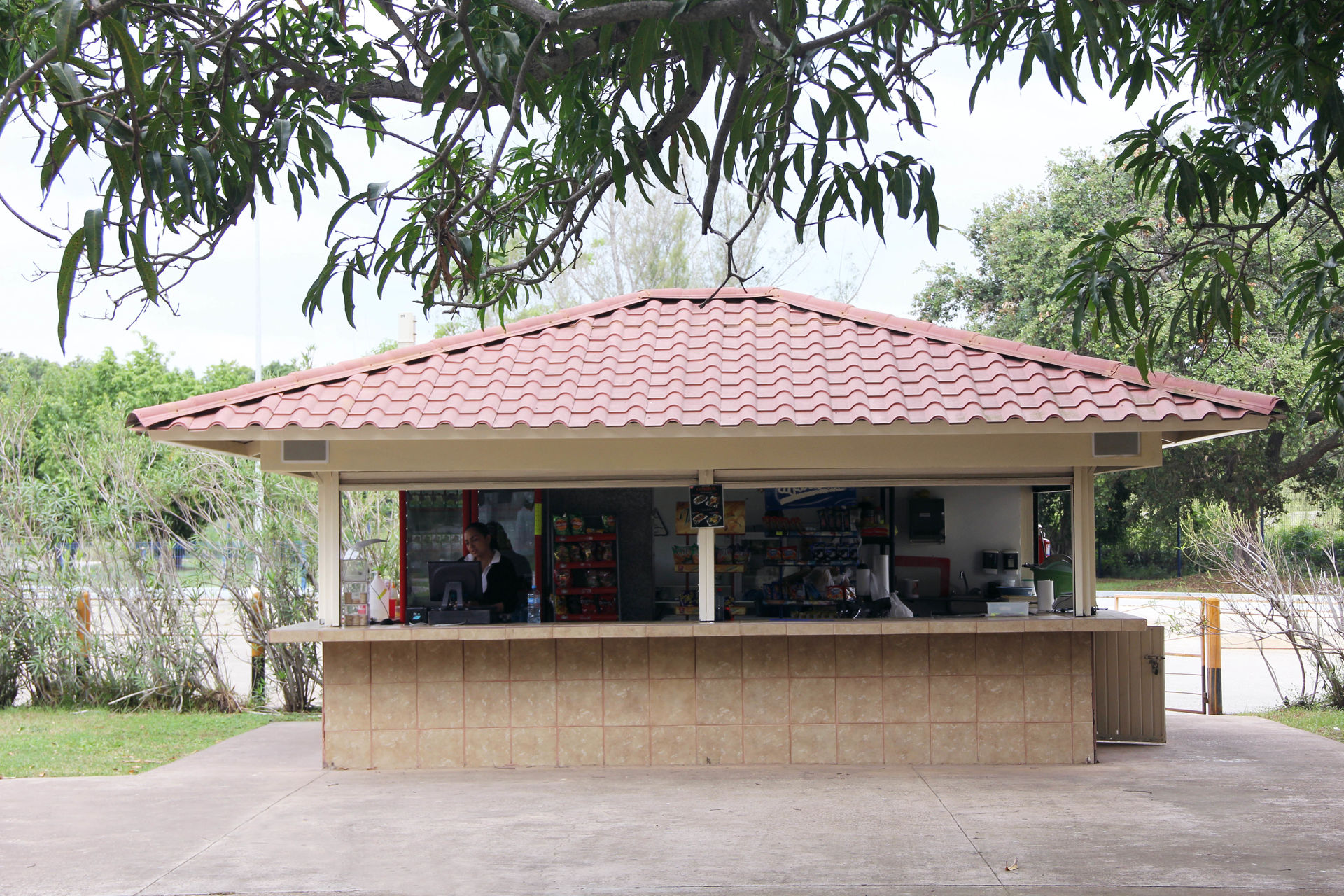 Cafeteria al aire libre "Mangos"