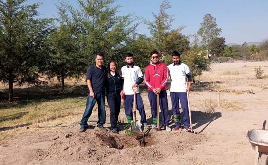 Reforestación en el plantel