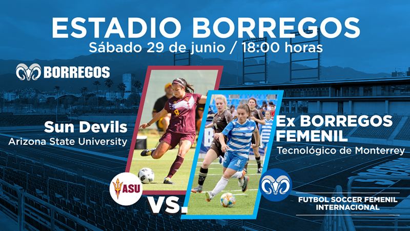 Sun Devils- Borregas