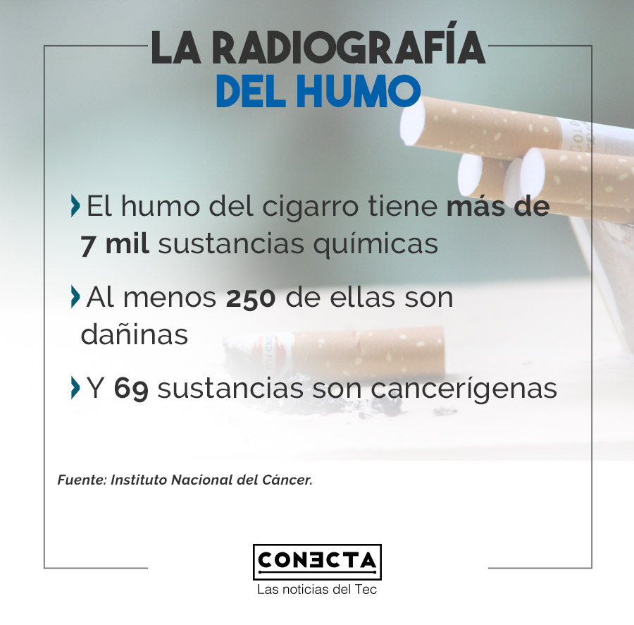 Infografía radiografía del humo