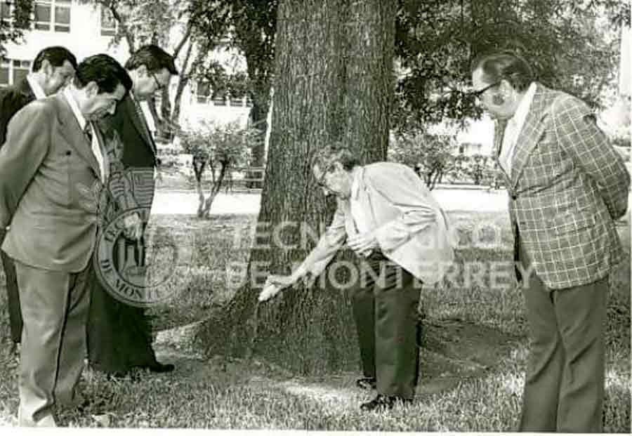 Juan Certucha, Árbol de la Fraternidad