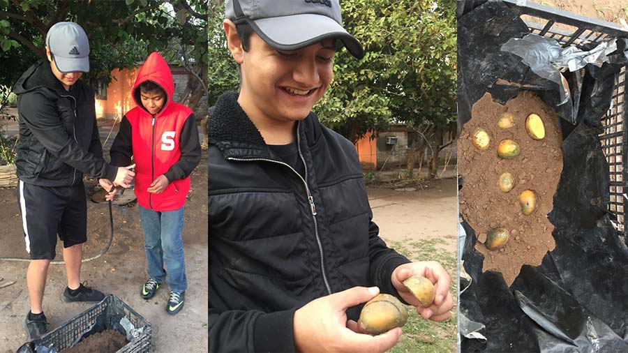 Líder del mañana apoyando a la familia como aparte de su proyecto alimento al alcance