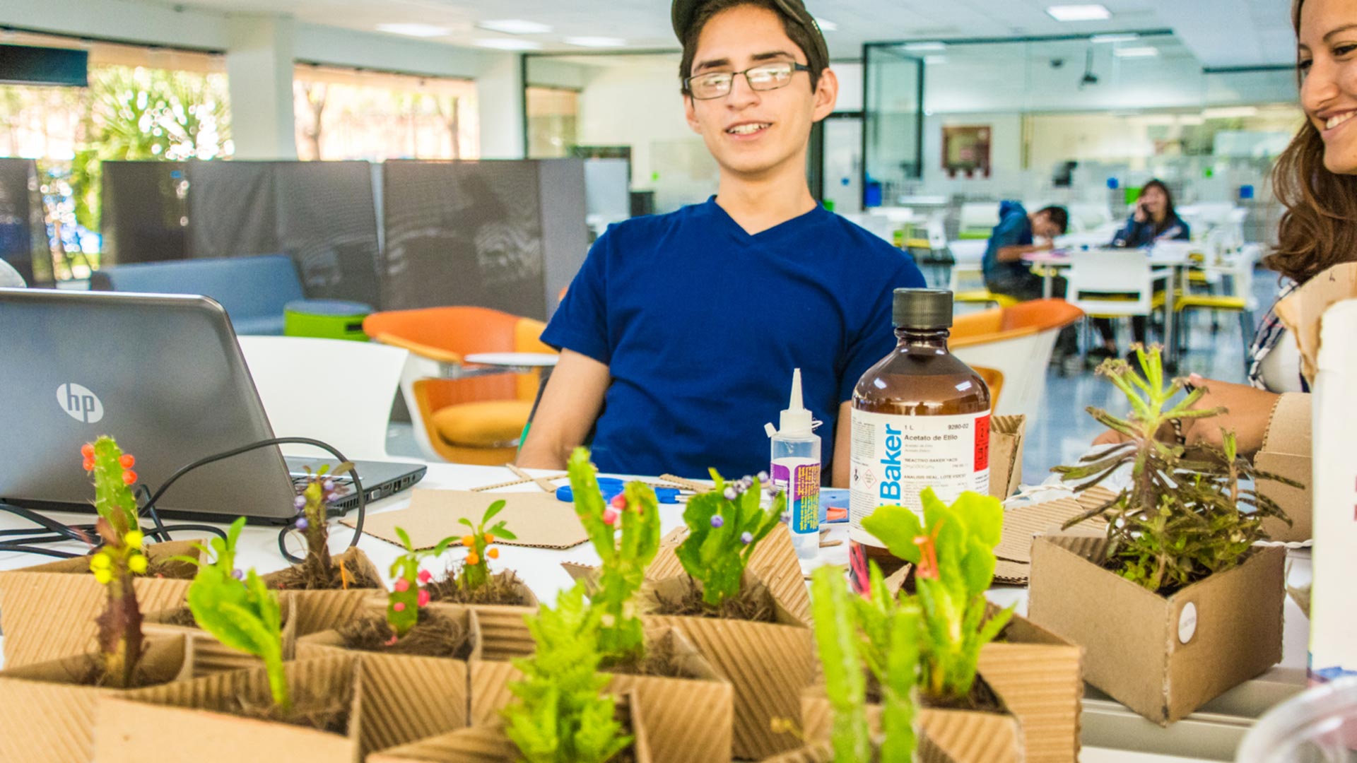 Cactus en primer plano y joven viéndolos desde atrás