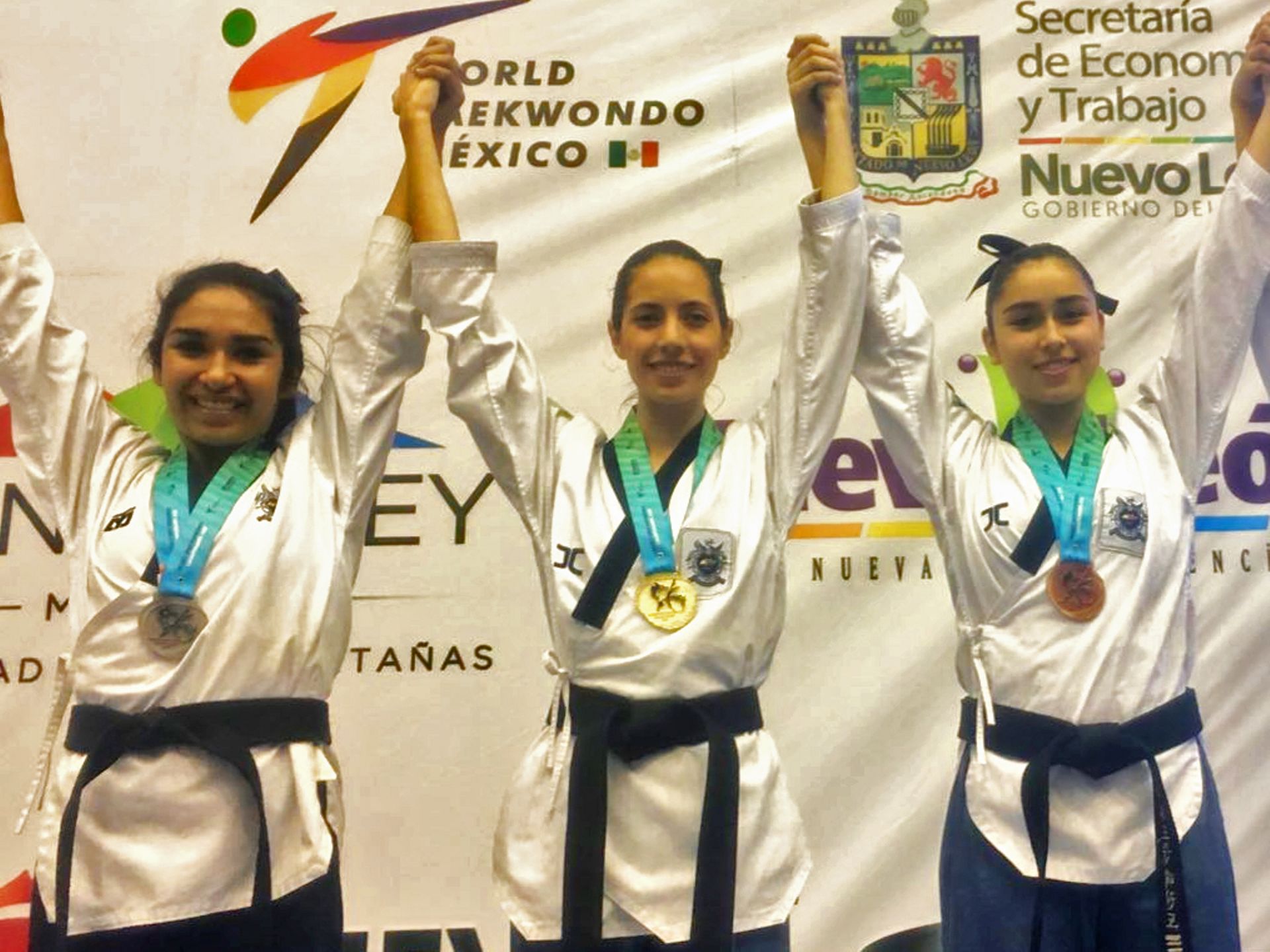 Taekwondo Championship 2018.