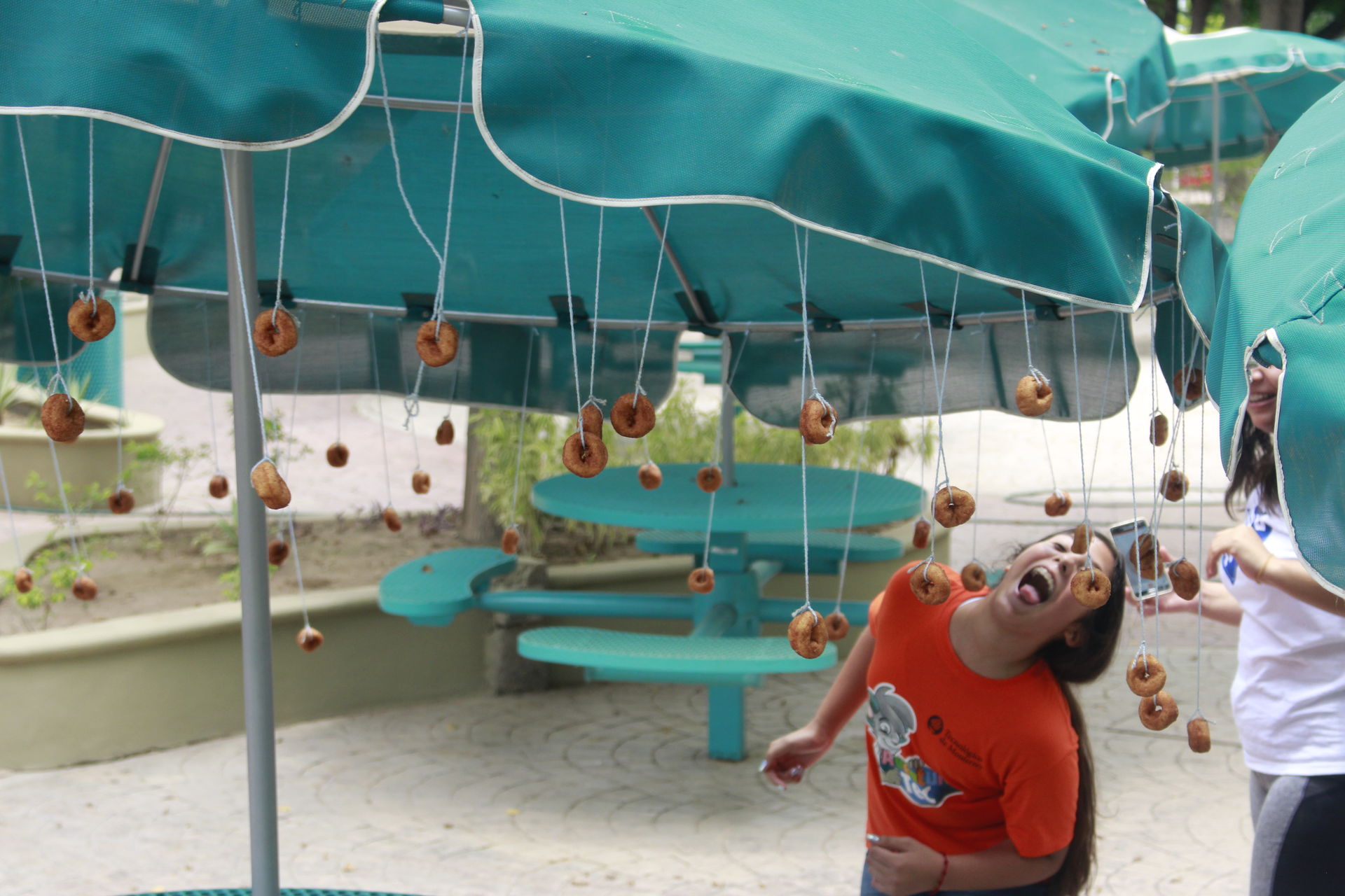 Niña comiendo de unas donas colgadas