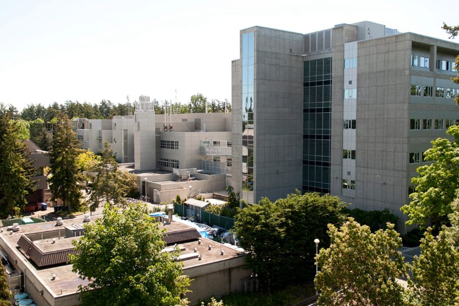 Foto del laboratorio en el que realizó su estancia Giovanna