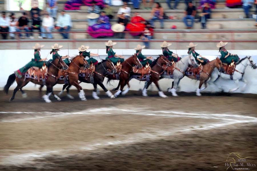 Flores de la Hacienda en el estatal de Apaseo el Grande