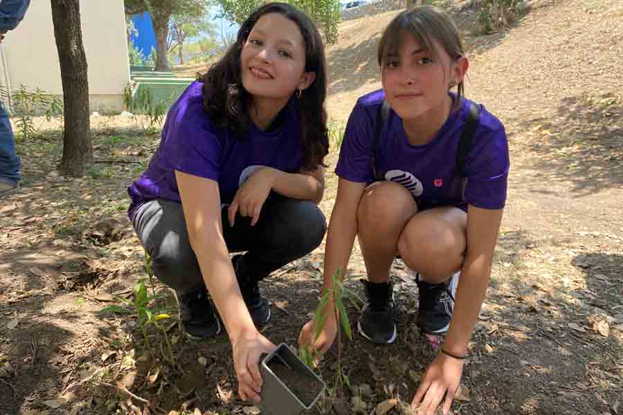 Alumnos de PrepaTec plantearon 50 asclepias.