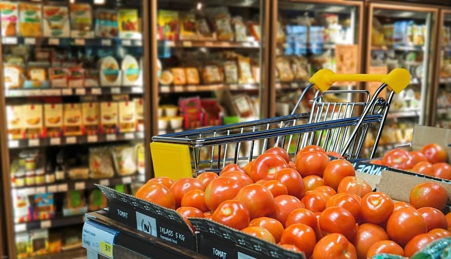 Alumnos del Tec presentan estrategias al Banco de Alimentos para reducir el hambre en Jalisco