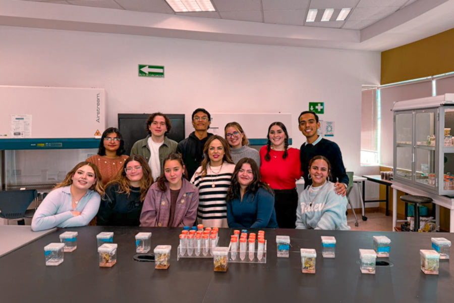 Alumnos y profesora trabajando en el proyecto de cultivo in vitro para la preservación de plantas endémicas en comunidades tarahumaras.