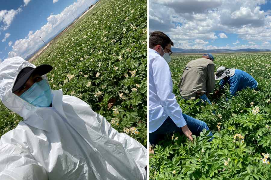 Los EXATEC han trabajado de la mano con agricultores para conocer los desafíos y las problemáticas que encuentran buscando obtener buenas cosechas.