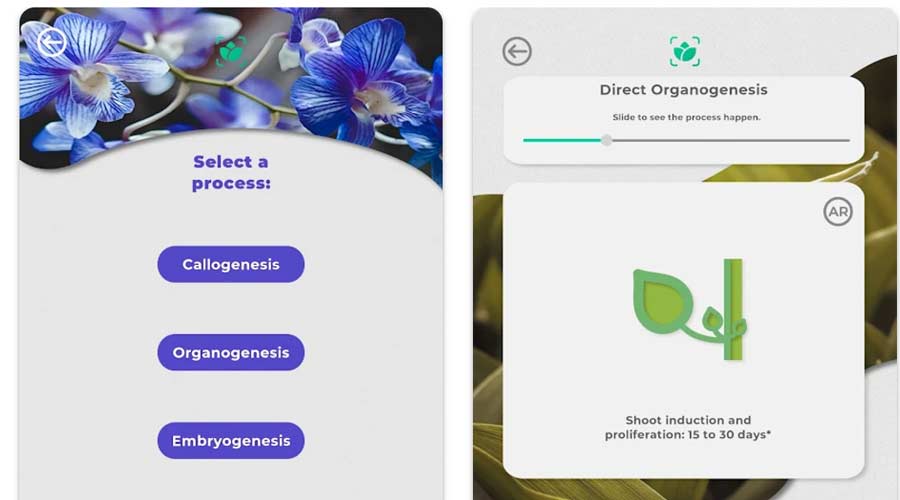 Docente del Tec desarrolla app que ayuda en la enseñanza de la biotecnología 