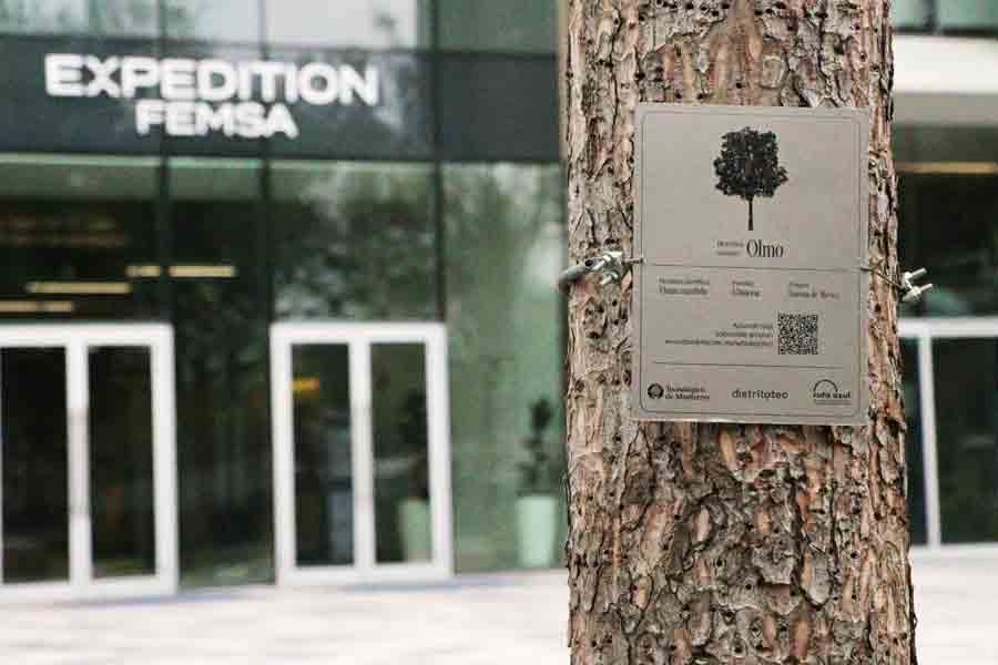 Árbol frente al EXPEDITION FEMSA.