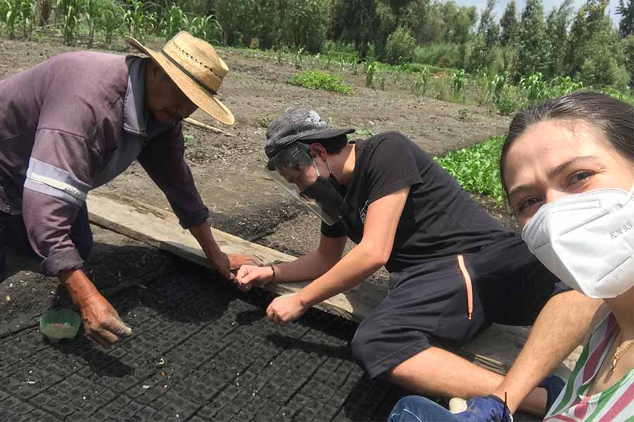 El Axolote: empresa social que busca la regeneración del medioambiente