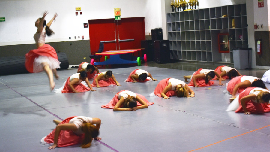 Compañía de Danza.