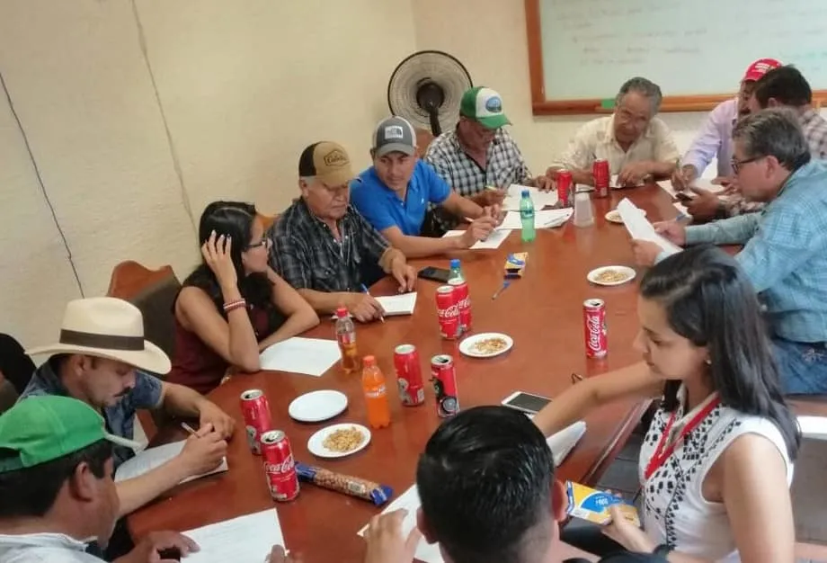 Biotecnóloga del Tec Guadalajara analiza para Semadet el desperdicio de alimento