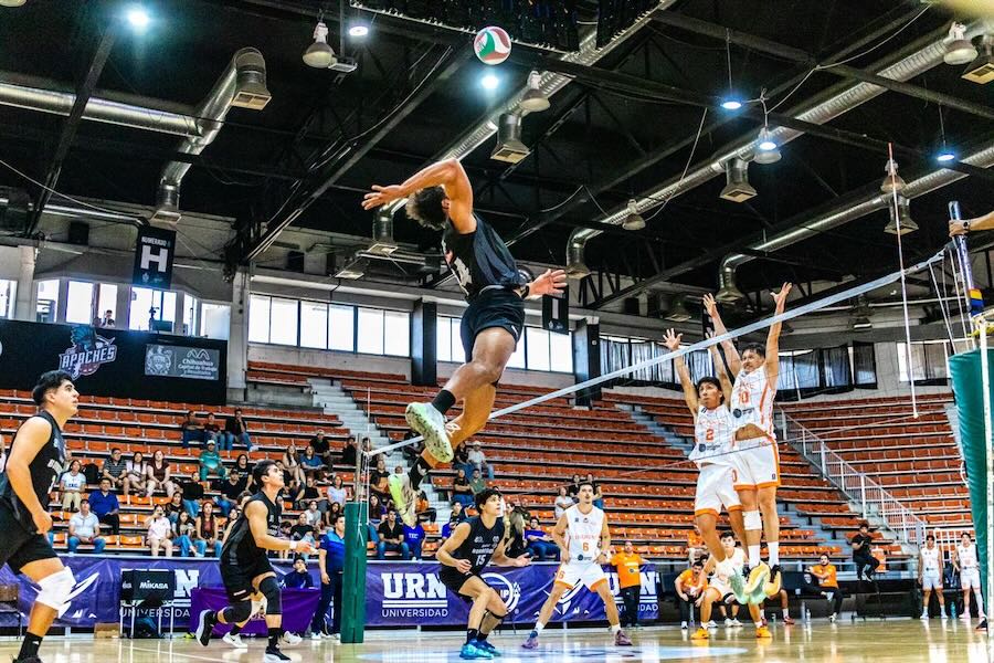 Borregos Qro hace historia con tricampeonato en voleibol.