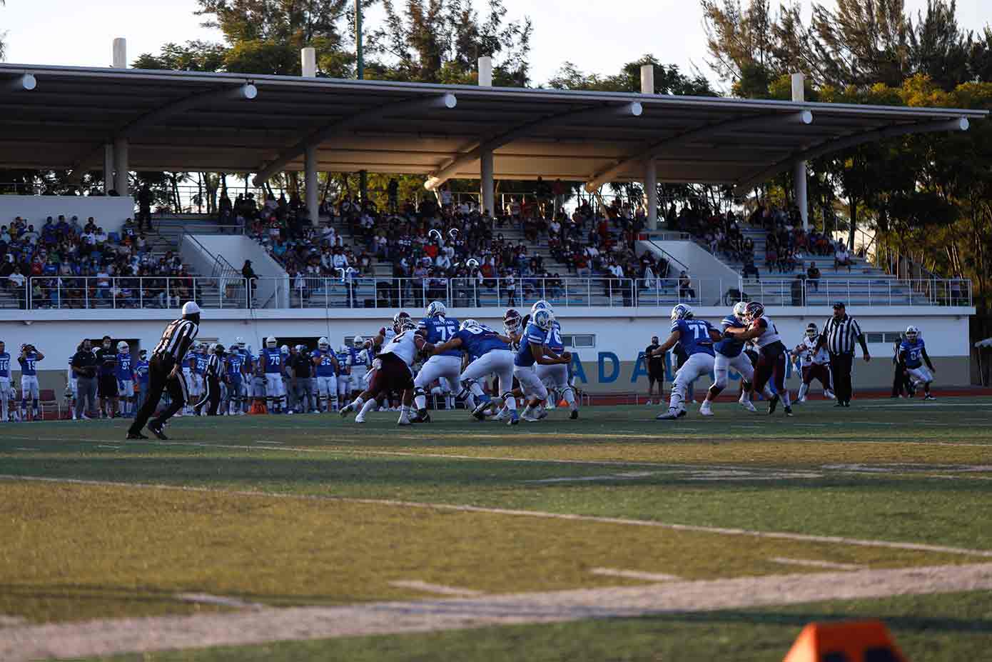 Borregos del Tec Guadalajara en la Liga ONEFA.