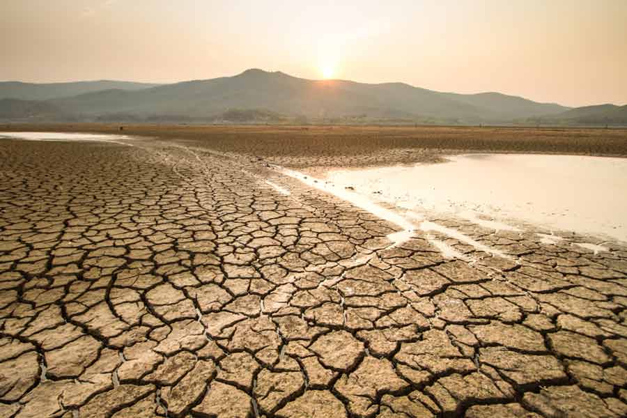 Cambio climático