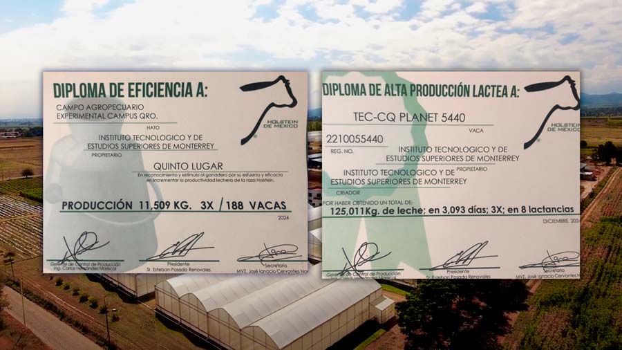 Campo AgroExperimental del Tec Qro premiado por su tecnología y producción lechera