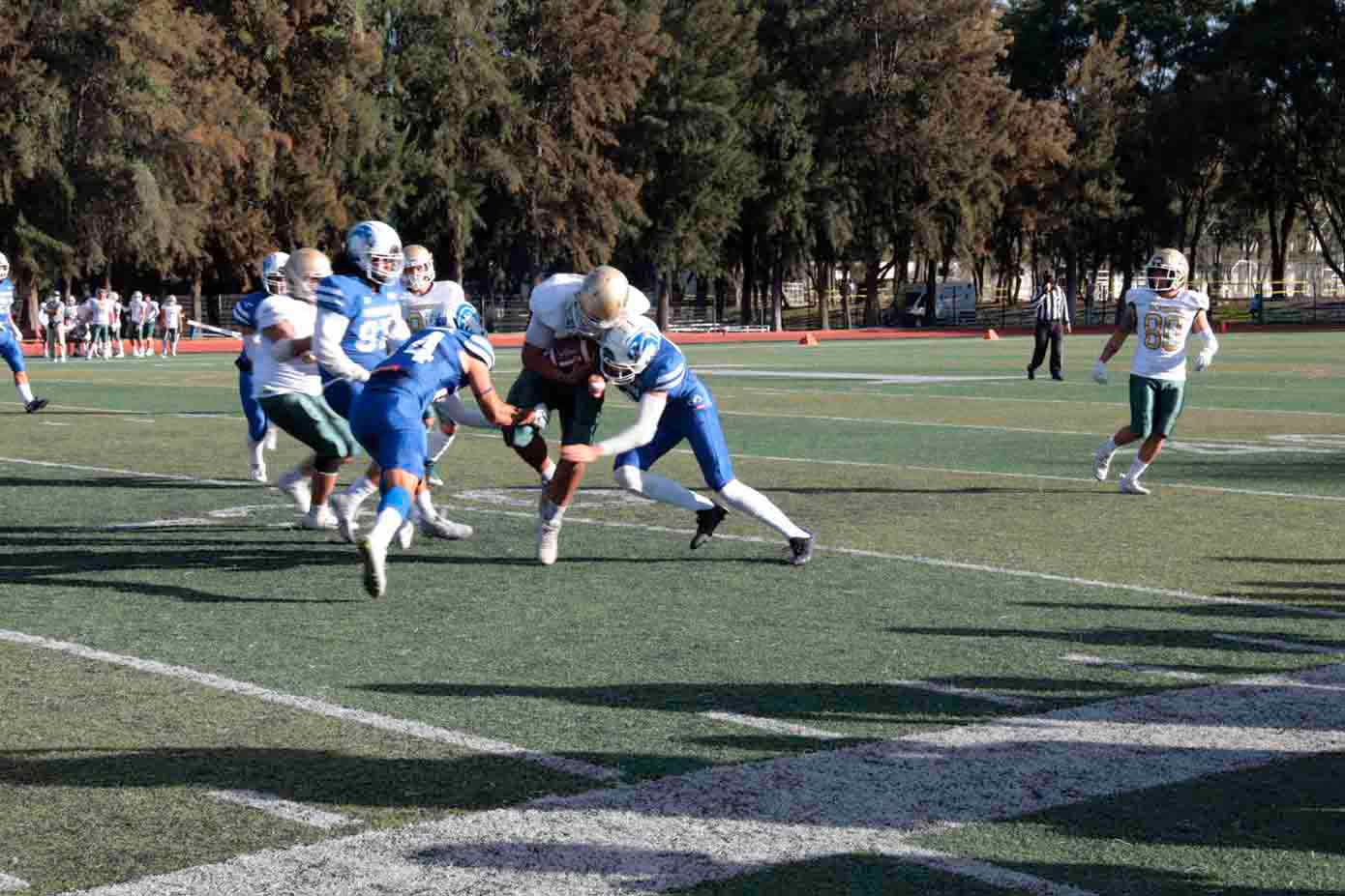 Borregos del Tec Guadalajara en la Liga ONEFA, triunfo en el cierre de temporada.