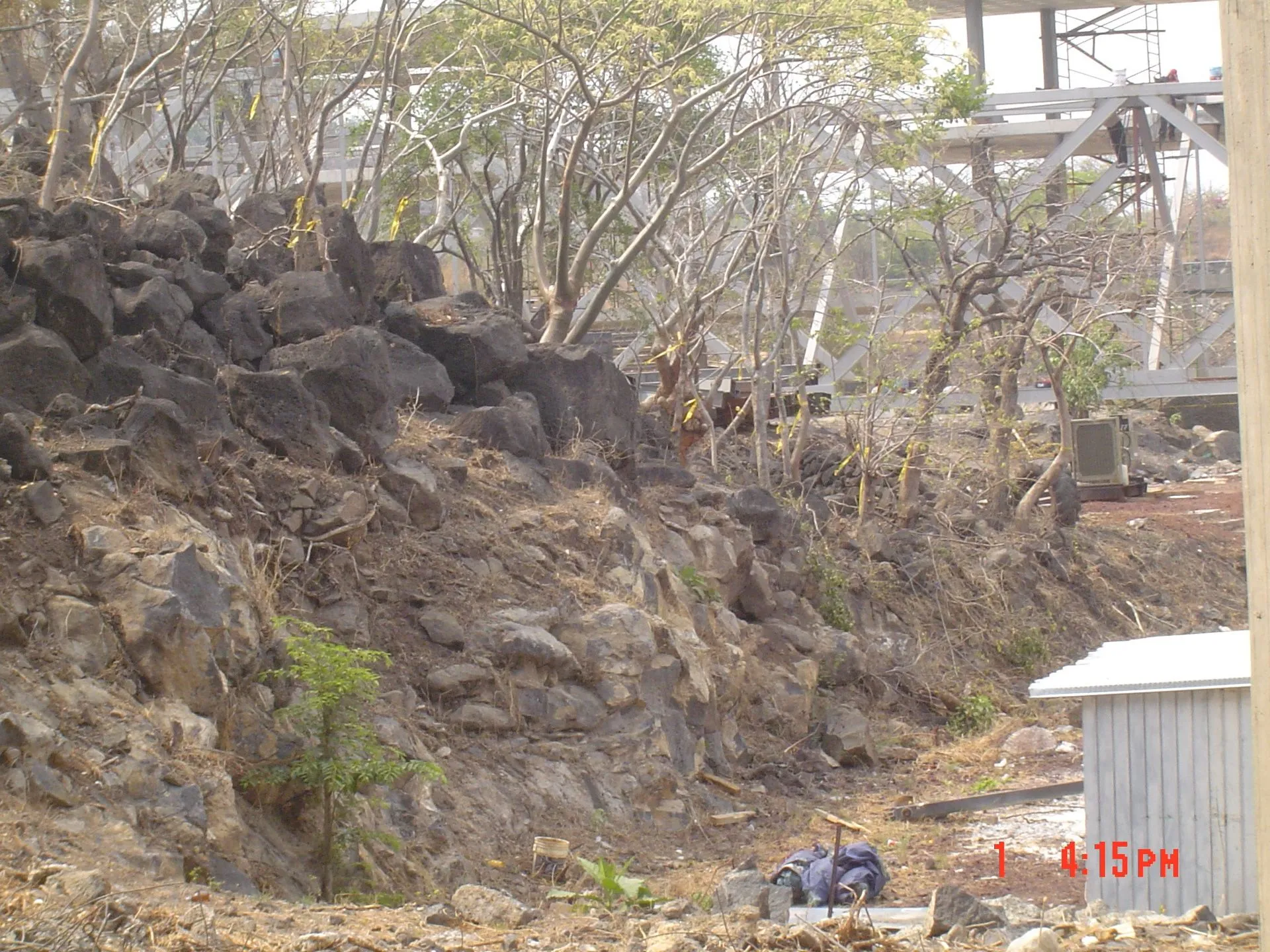 Construcción y diseño del montículo natural principal del Bosque Mágico del Tec campus Cuernavaca.