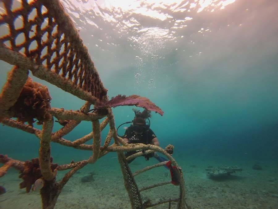 Los arrecifes de coral protegen las costas de fenómenos meteorológicos