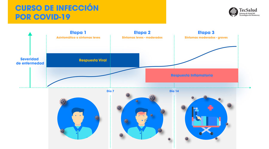 Curso de infección.