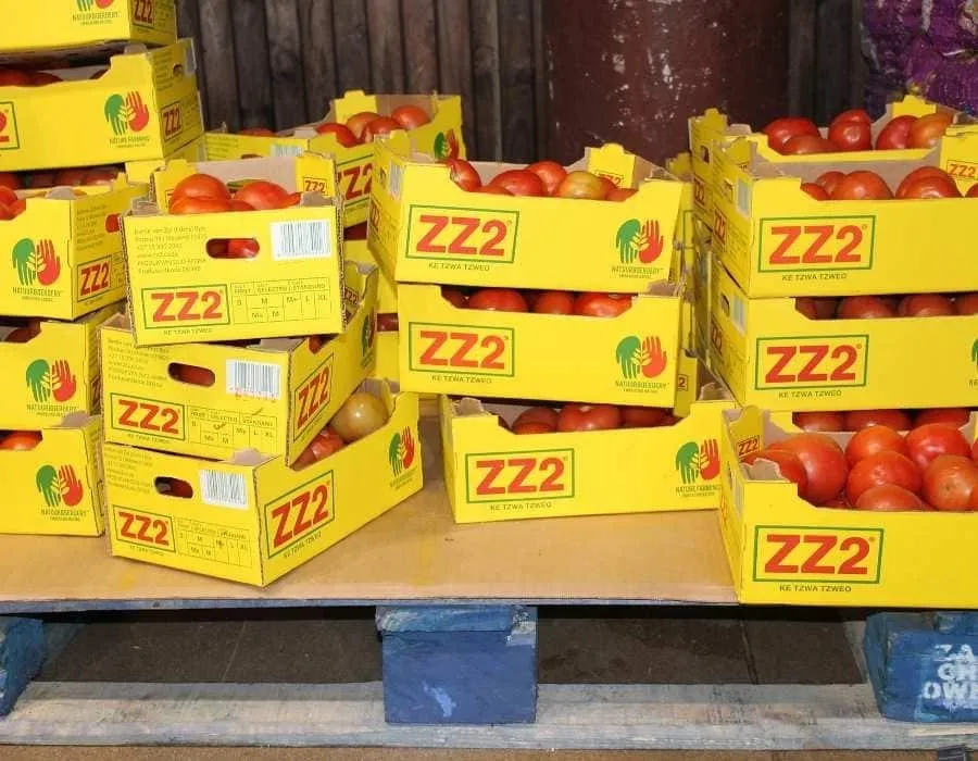 El desarrollo alimenticio incluye saber conservar los alimentos