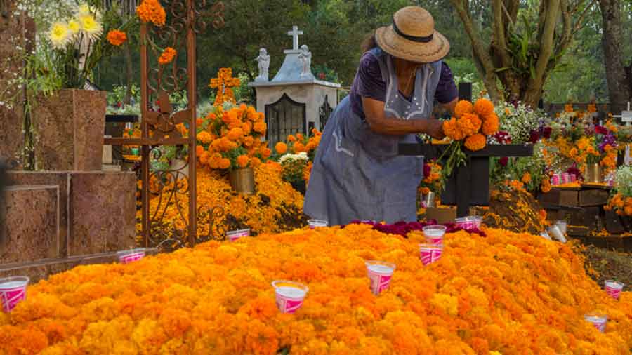 Flores tradicionales del día de muertos