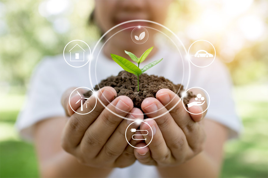 Mujer sosteniendo planta en sus manos