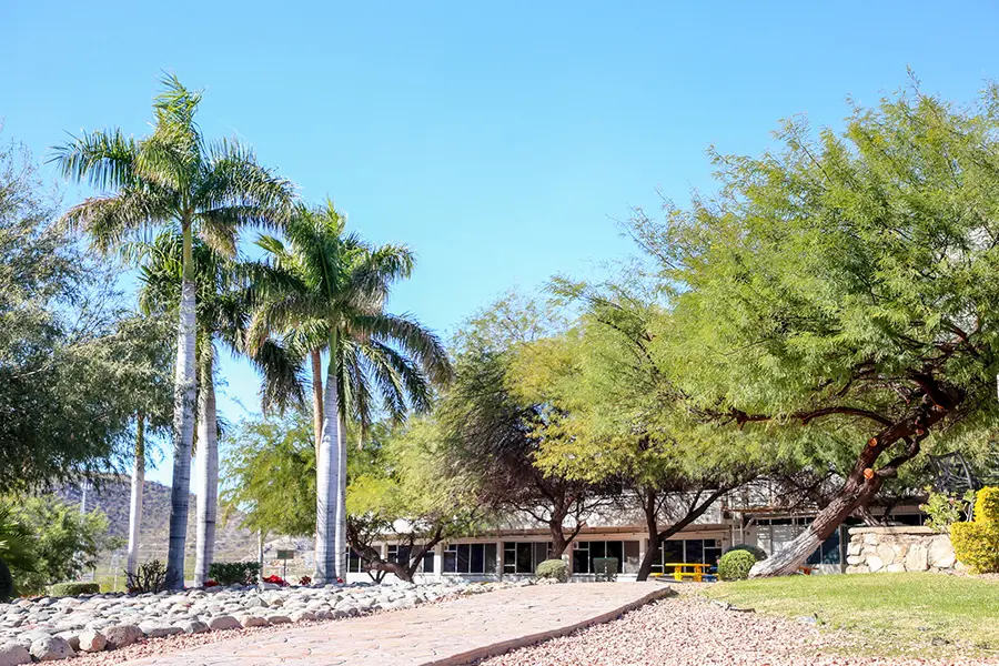 campus sonora norte