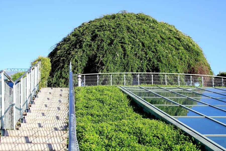 Edificio ecológico con abundante vegetación