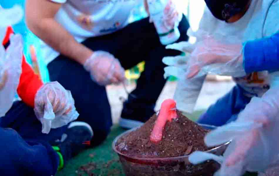 Education for life iniciativa de profesor y estudiantes del Tec Guadalajara para enseñar ciencia a niños de casa hogar.