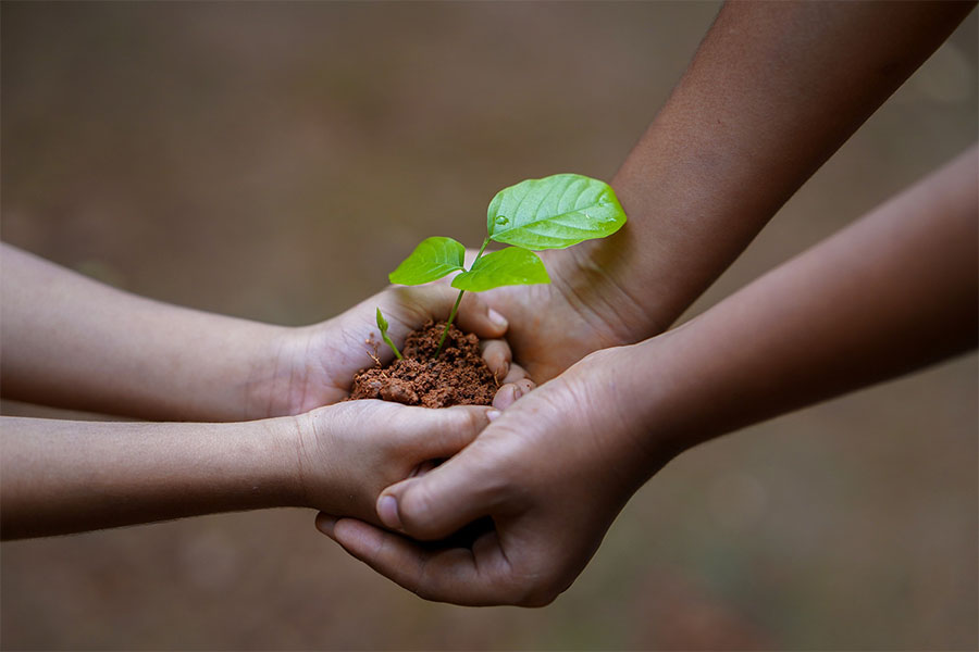 emprender negocio consciente va más allá del dinero