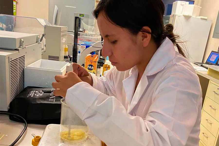 Estudiante busca un efecto anestésico a través de aceites esenciales