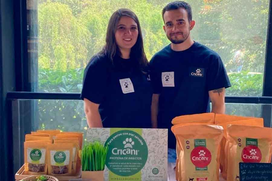 Estudiante Tec crea alimento sustentable para mascotas