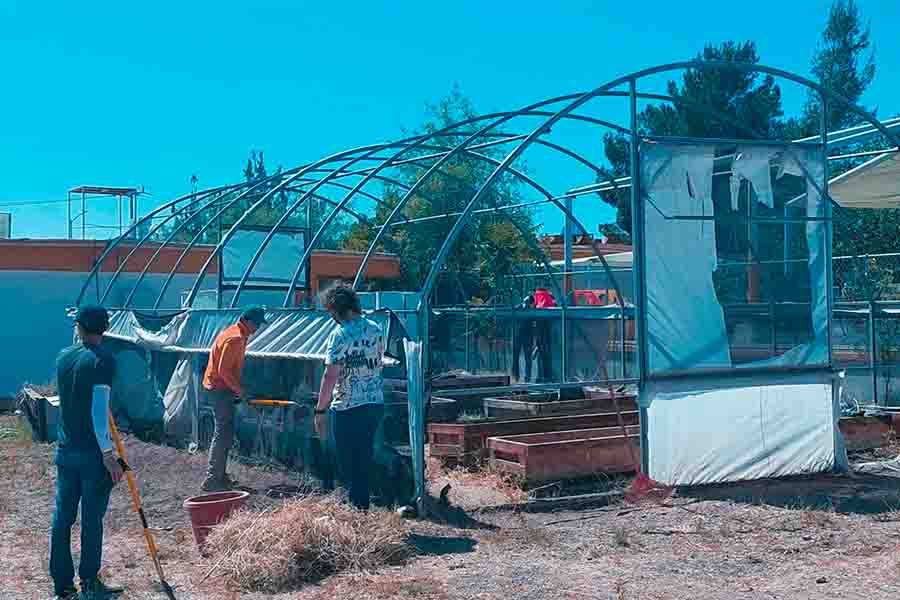 Estudiantes del Tec colaborando en invernadero del CAM