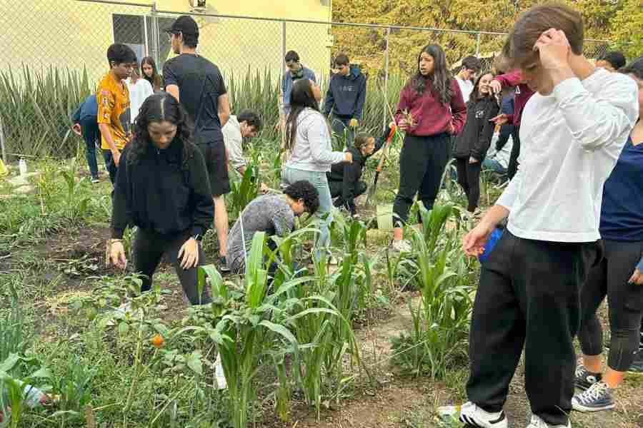 Estudiantes rescatan cultivos ancestrales